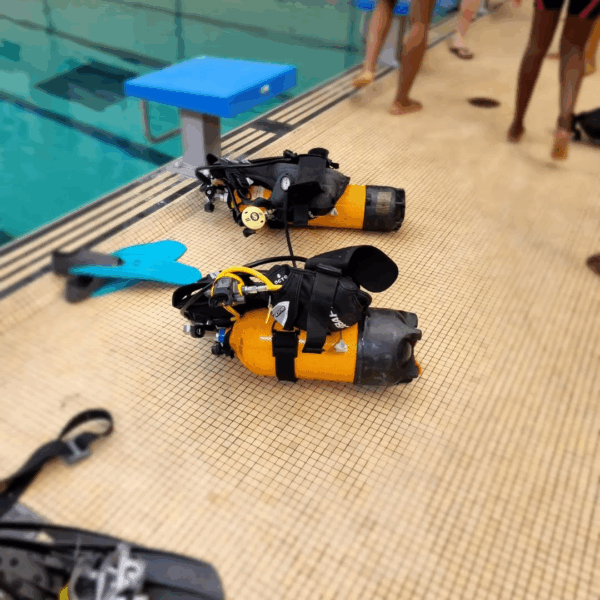 Plongée citoyenneté